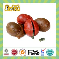 25g Piece Dog Toy Type Wholesale