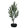Wholesale Plastic Artificial Olive Tree Bonsai Artificial Plant for Home & Garden Decoration