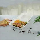 Biodegradable paper clamshell burger packaging sugarcane bagasse fiber pulp tableware