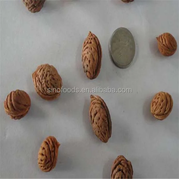 Shan Tao China Supplier Sweet Delicious Peach Seeds For Sale