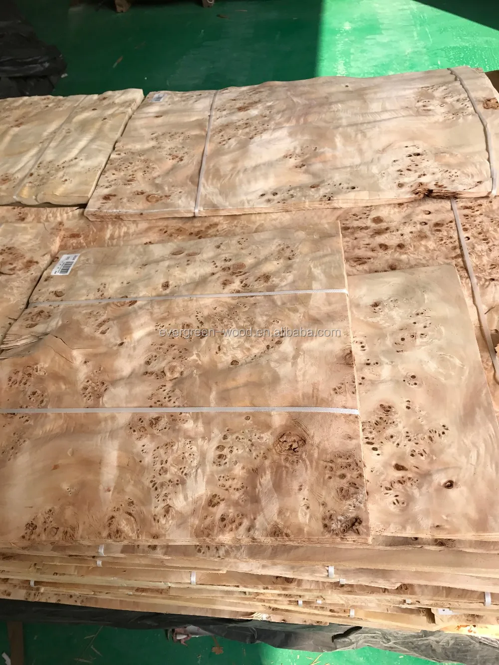 white poplar wood burl veneer