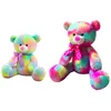 rainbow colored plush teddy bear toy doll
