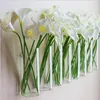 Modern Simple Style Cylinder Shape Wall Hanging Glass Flower Vases Decorative Planter Glass Flower Pot For Home Wall Decor