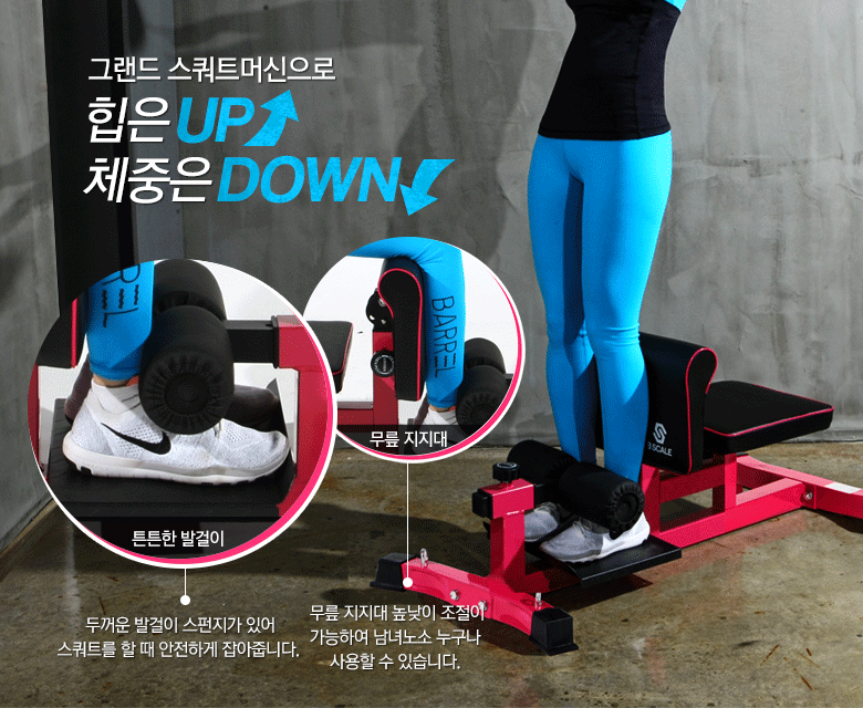 all industries  sports & entertainment  fitness & body building