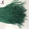 Factory wholesale 15-20cm Dark green ostrich feather trimming