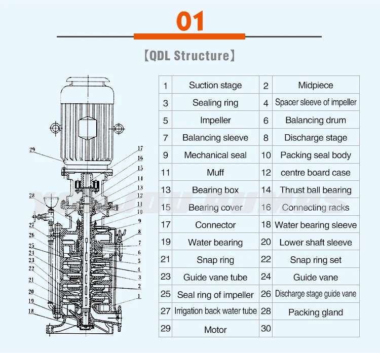 QDL()_02.jpg