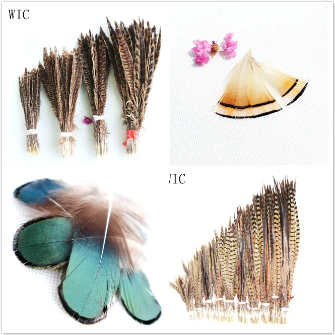 pheasant feather