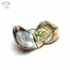 /product-detail/wholesale-south-sea-green-oyster-pearls-bracelet-twins-pearl-with-price-cheap-60790917652.html