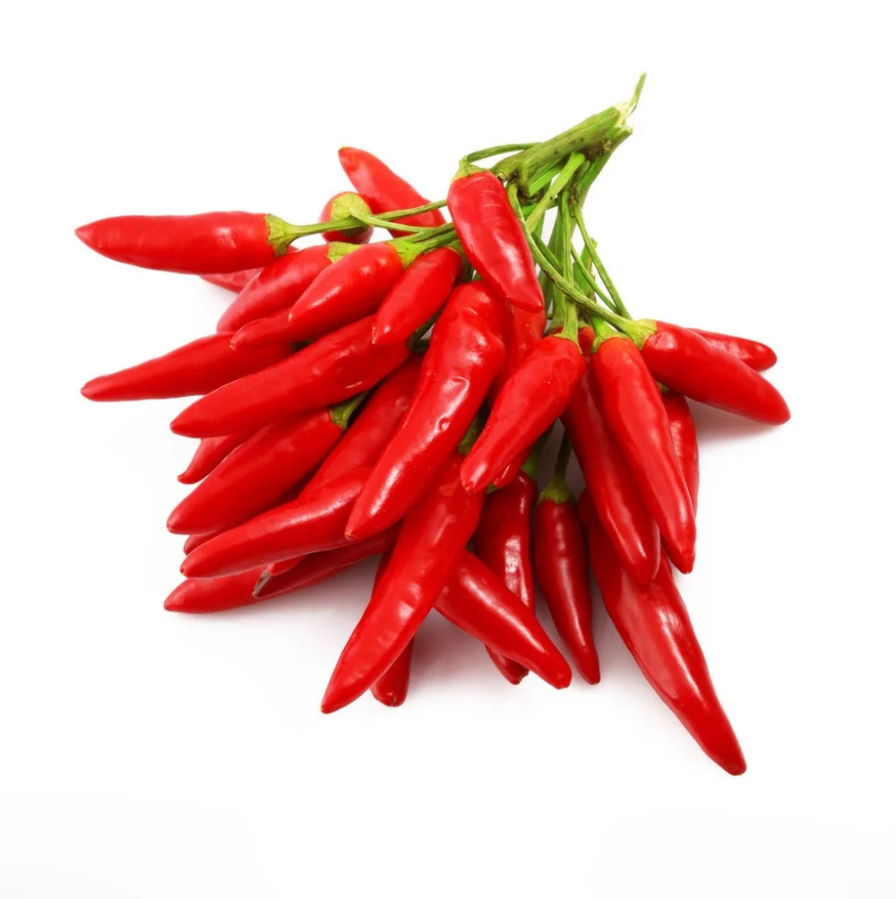 nsf-cgmp natural pure capsaicin red cayenne chili pepper extract