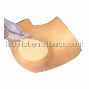 F30S Gynecological Examination Model (3).jpg