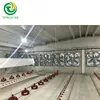 Good Price Modern and Advanced Automatic Poultry Equipment for Broiler Chicken
