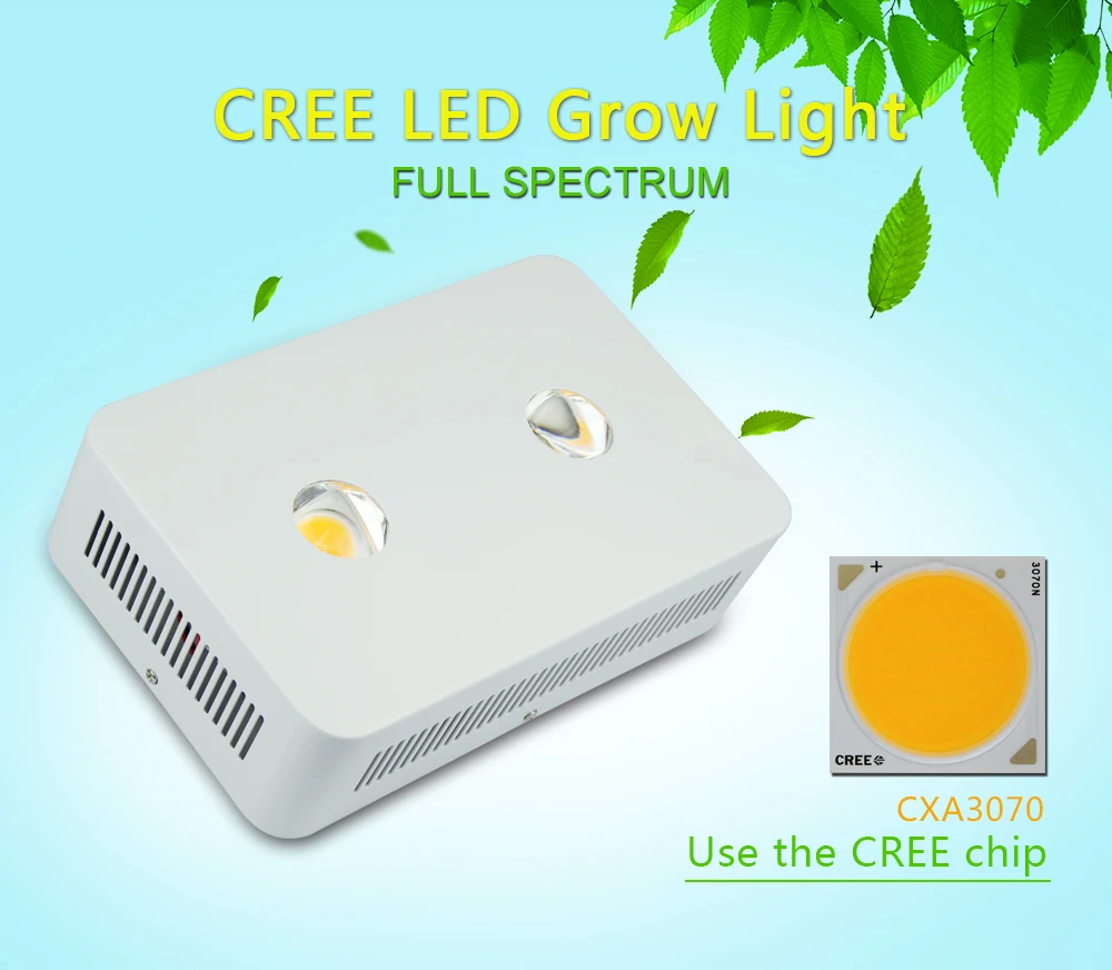cree2_01