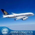 Professional Cheapest DHL/TNT/UPS/FEDEX/EMS/ARAMEX freight forwarder from China to Turkey