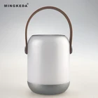 rechargeable portable led light with wireless bluetooth speaker