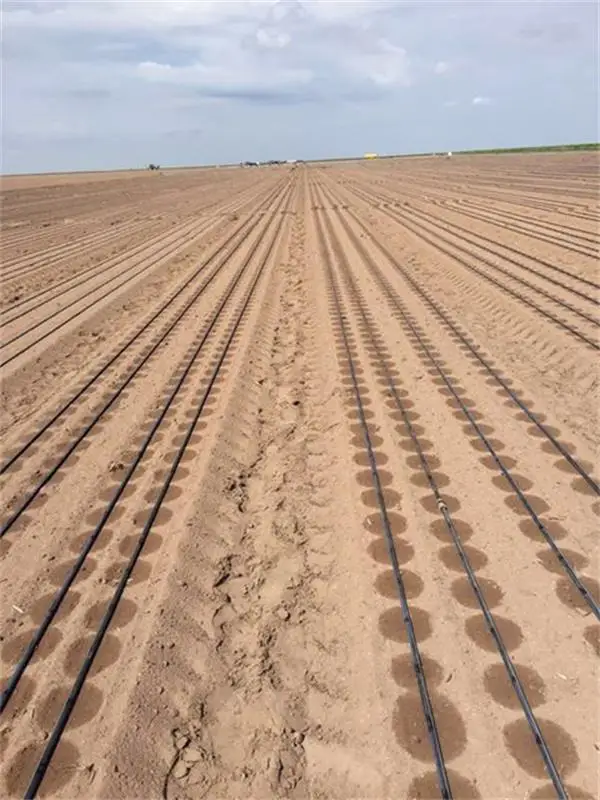 1 Hectare drip tape PE pipe drip irrigation 