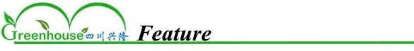 Multi-span Hydroponic Growing Systems Greenhouse2