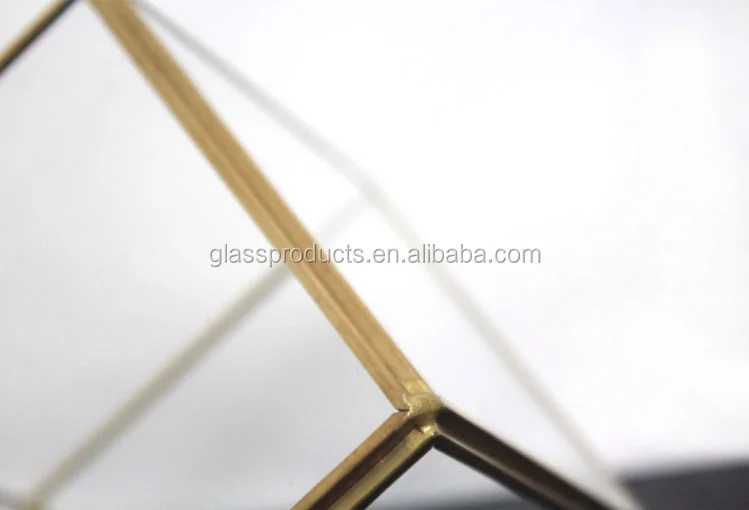 terrarium-glass.png