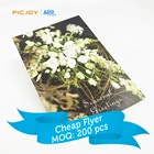 High quality custom Seasonal Greetings card postcard leaflet online printing in shanghai
