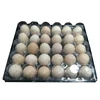 Large spot chicken incubator spare parts quail egg tray plastic egg tray 100% environmental protection plastic tray