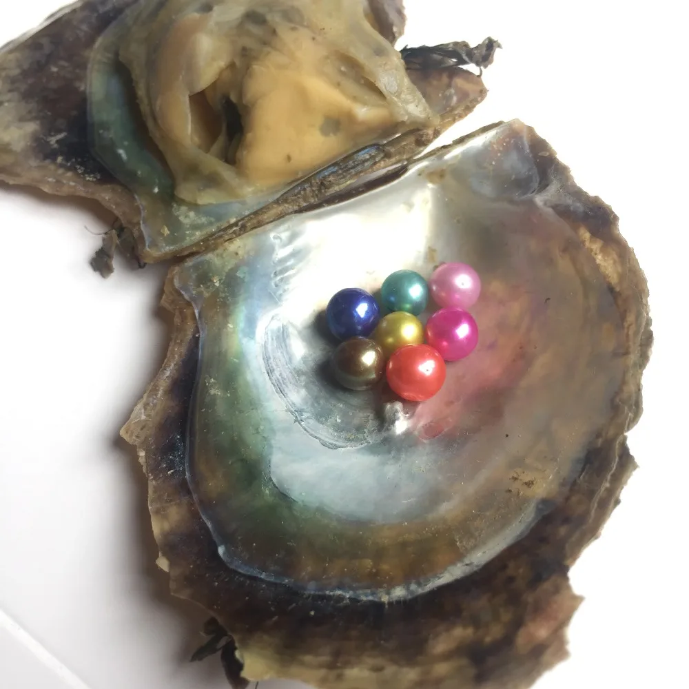 oyster (4).jpg