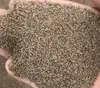 /product-detail/for-planting-dubo-dog-s-tooth-grass-shelled-bahama-grass-seeds-for-planting-62192758197.html