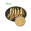 /product-detail/factory-supply-bulk-80-korean-red-panax-ginseng-root-extract-powder-panax-ginseng-298680292.html