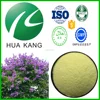 Hpyerglycemic Banaba plant,pure banaba leaf extract powder,banaba leaf tea