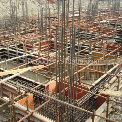 2009021509245242_8_.jpg