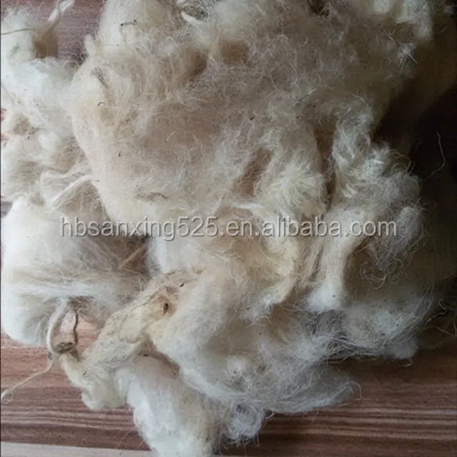 sheep greasy wool