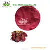 100% Natural Red Beet Root Extract Food colorant anthocyanins/anthocyanin powder from Red beet extract