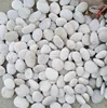 small natural white pebbles and cobbles stone used for garden