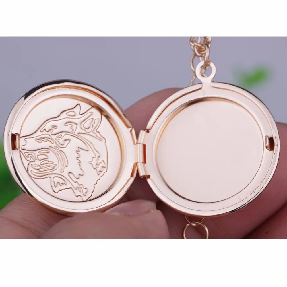 3196944287_1514953875