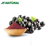 food grade fruit concentrate powder black currant powder