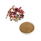 宏達工場供給 Forskolin メーカー Forskolin 粉末コリウス Forskohlii エキス Forskolin
