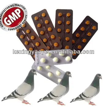 Buy Terramycin For Chickens