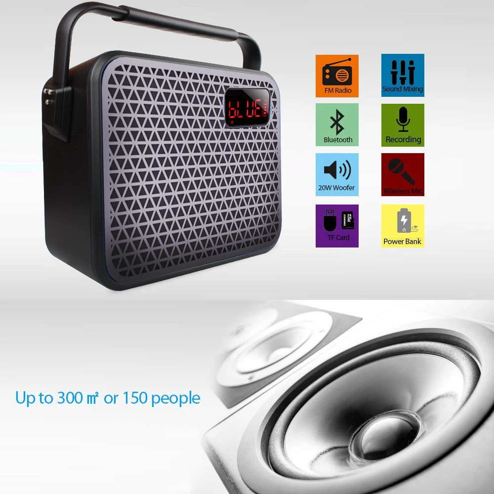 New design 30W Home Amplifier usb wireless lapel mic 