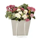 Custom Fancy Flower Green Succulent Plant Fresh Potted Packaging Paper Bags