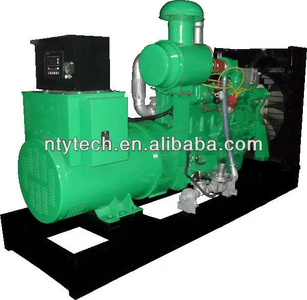 dual fuel generator3_