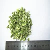 Wholesale Price Dried Leek/Green Chinese Onion