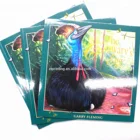 Hotsale English story book