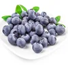 /product-detail/bulk-blue-berry-fruit-freeze-dried-organic-blueberry-juice-powder-60816820258.html