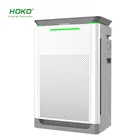 Anion Air Purifiers Whole House Air Cleaner EUROPEAN AIR PURIFIER With Hepa Filter