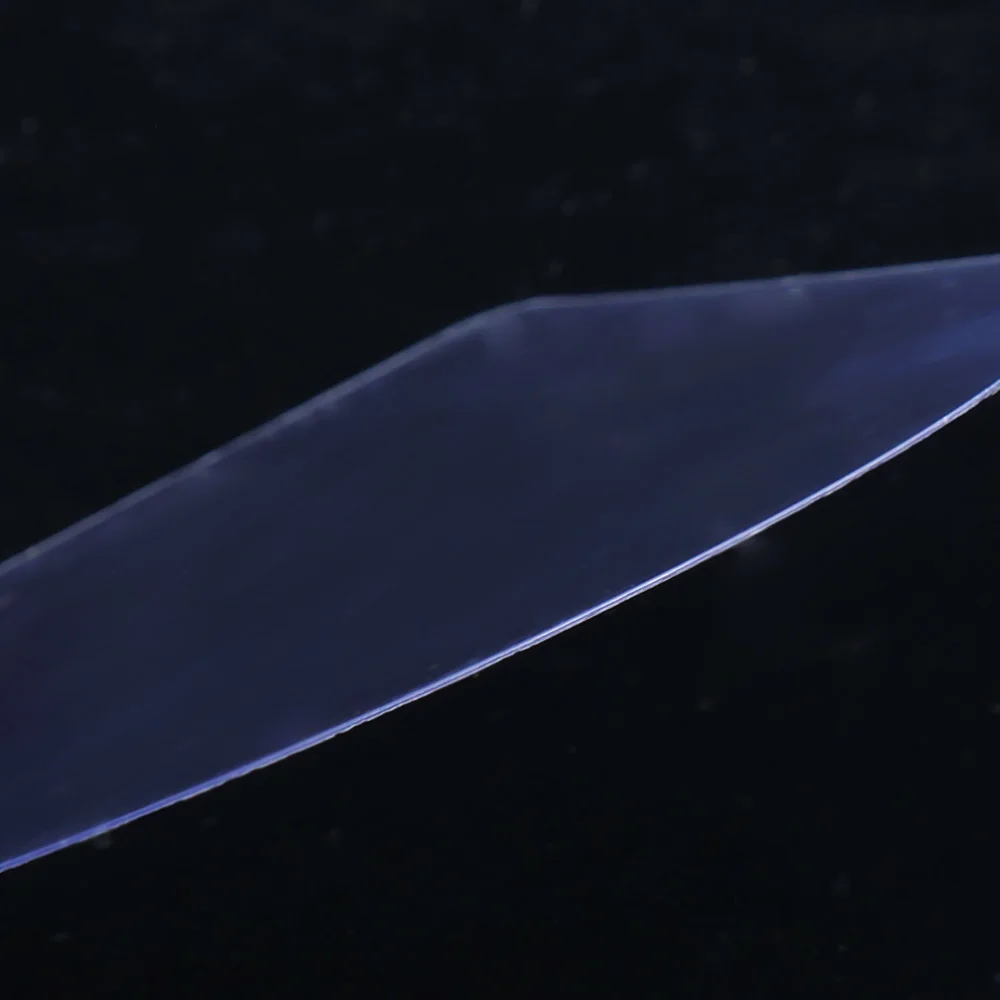 811510371255_P1210135