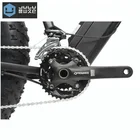 48V 750V fat tire mountain electric bicycle