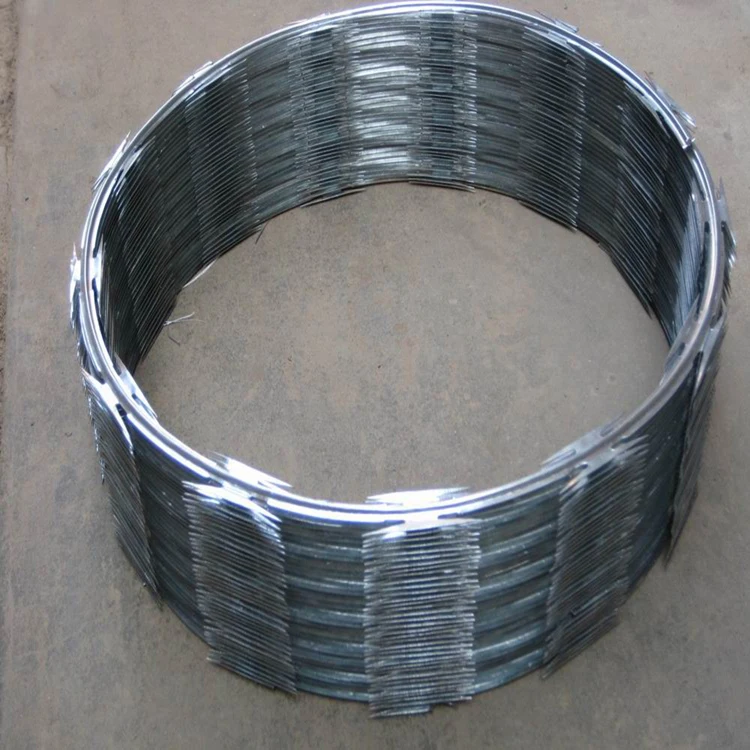 RAZOR WIRE.1.JPG