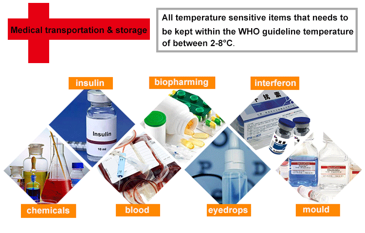 mini 6l blood cold chain cooler bags