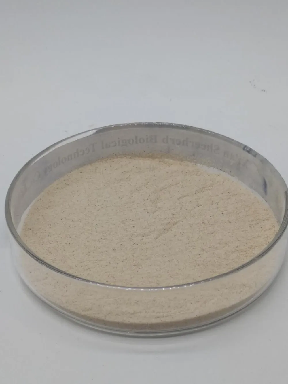 equate whole bulk psyllium seed extract psyllium husk powder