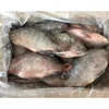Farming IQF seafood best fresh frozen tilapia