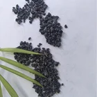 High quality recarburizer carbon used in casting with factory price