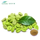 Hot sale Free Sample Green Coffee Bean Extract Chlorogenic Acid Price